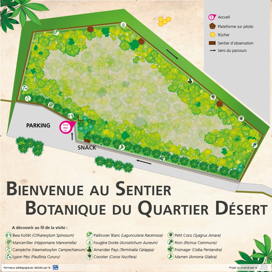 Plan du sentier botanique du quartier Désert (Ste Luce)