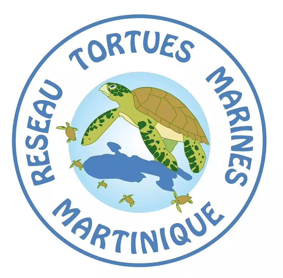 Logo du Réseau Tortues Marine de Martinique