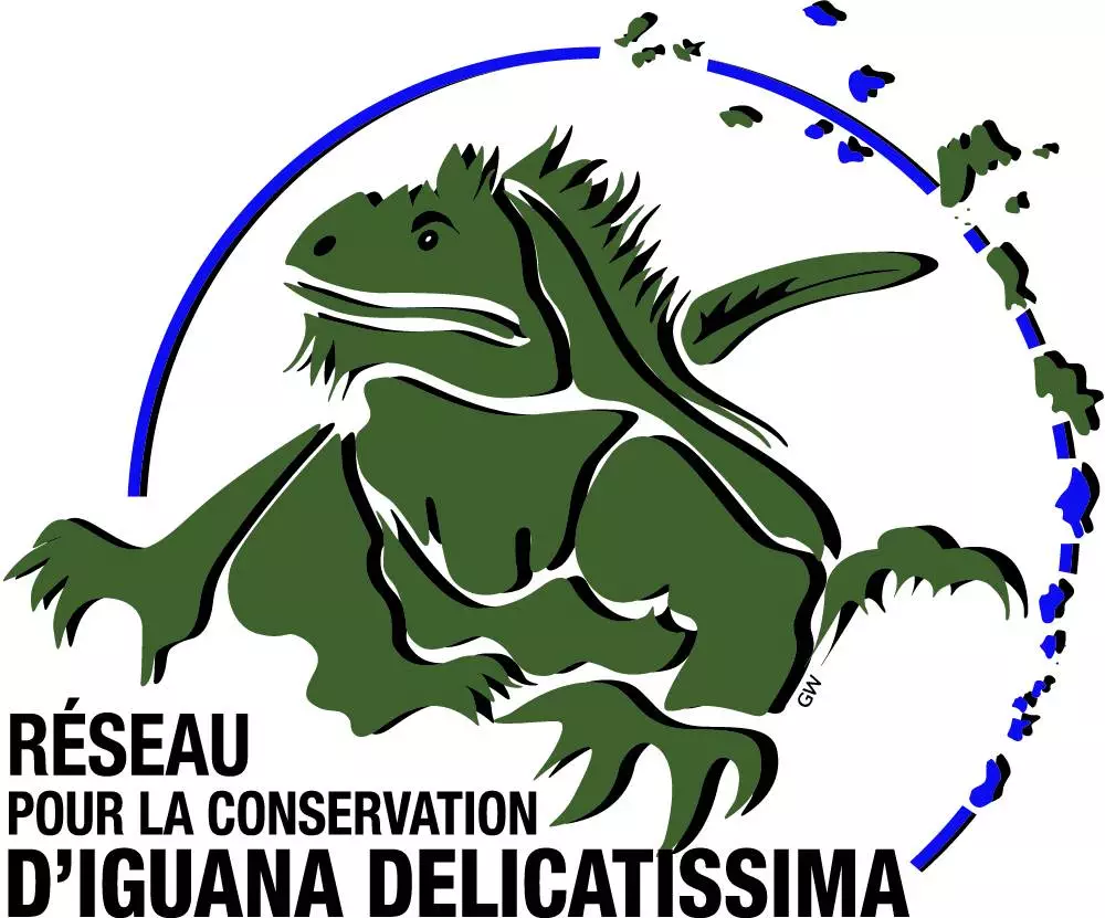 Logo du Réseau iguanes des petites Antilles