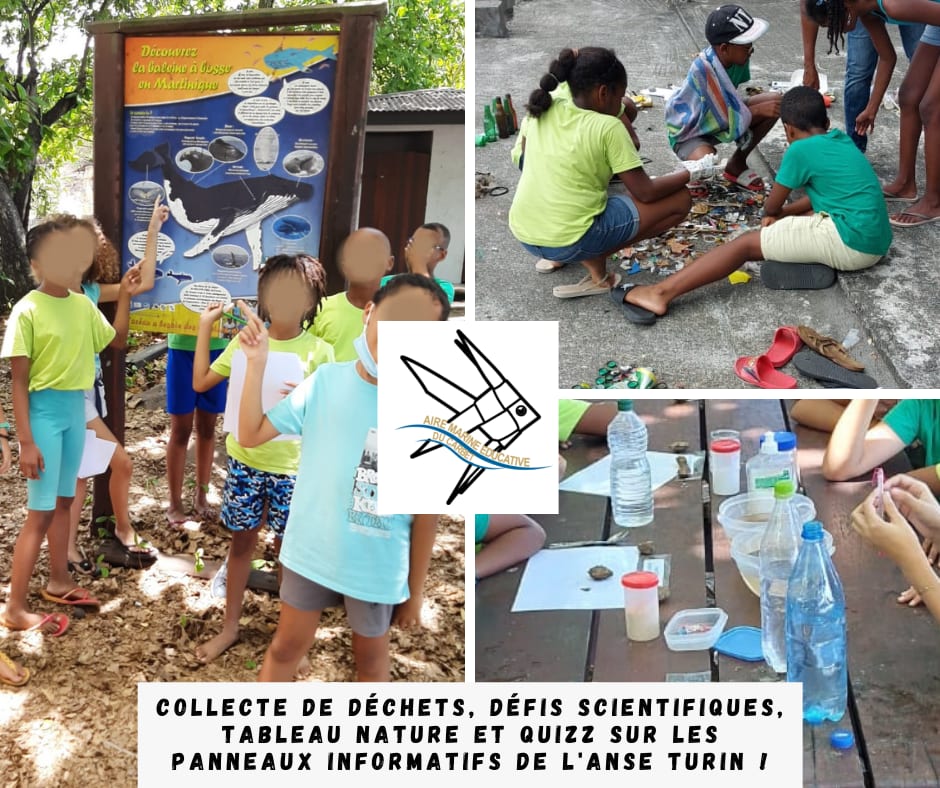 Collecte de déchets, défis scientifiques et autres jeux à l'anse Turin avec l'AME du Carbet