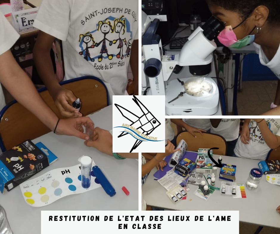Restitution de l'état des lieux des l'AME de Fort-de-France en classe